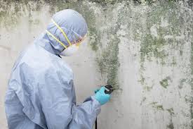 Biohazard Mold Removal in Vadnais Heights, MN